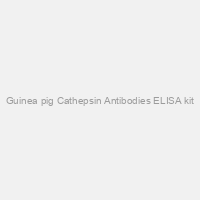 Guinea pig Cathepsin Antibodies ELISA kit
